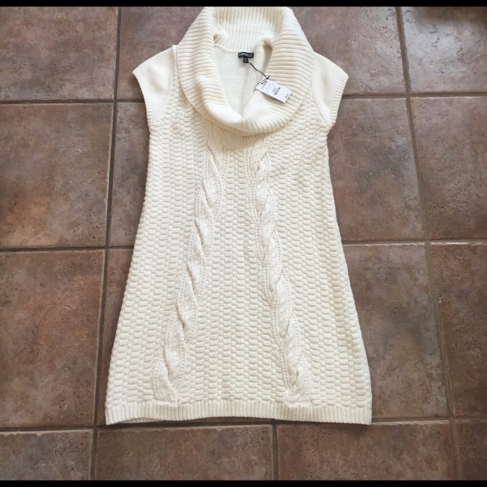 Express sweater dress